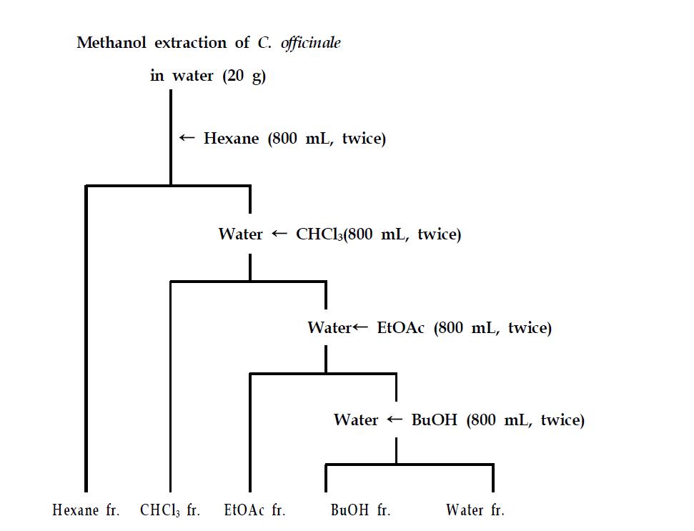 Solvent fraction procedures of methanol extract from Cnidium officinale