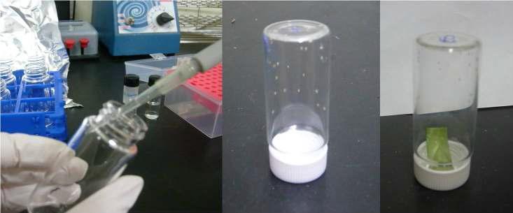 Dry film bioassay of thiamethoxam against Bemisia tabaci biotype B and Q.