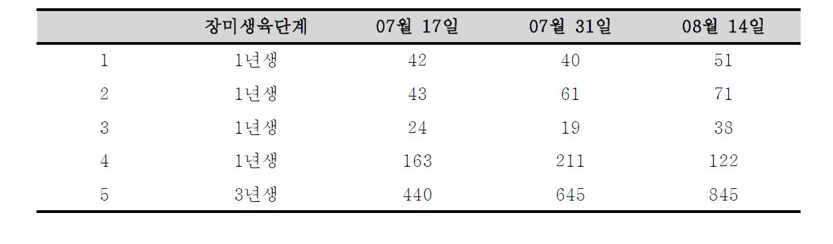 Occurrence of B. tabaci in Jincheon and upgrowth of rose