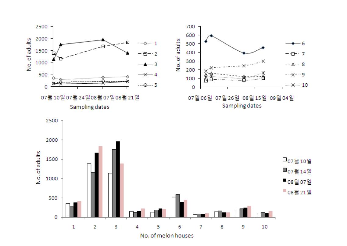 Occurrence of Bemisia tabaci Q type in Andong.