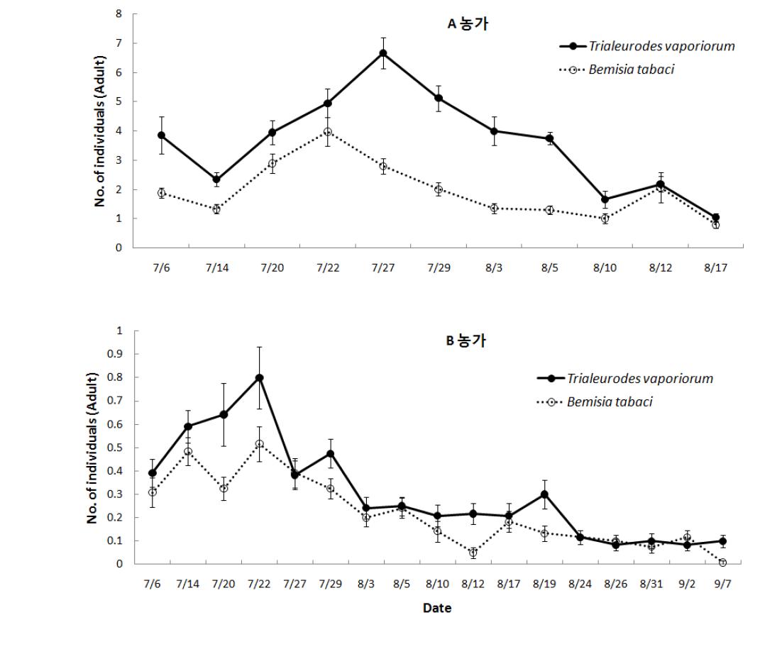 Spontaneous generation patten in Andong against B. tabaci and T. vaporiorum.