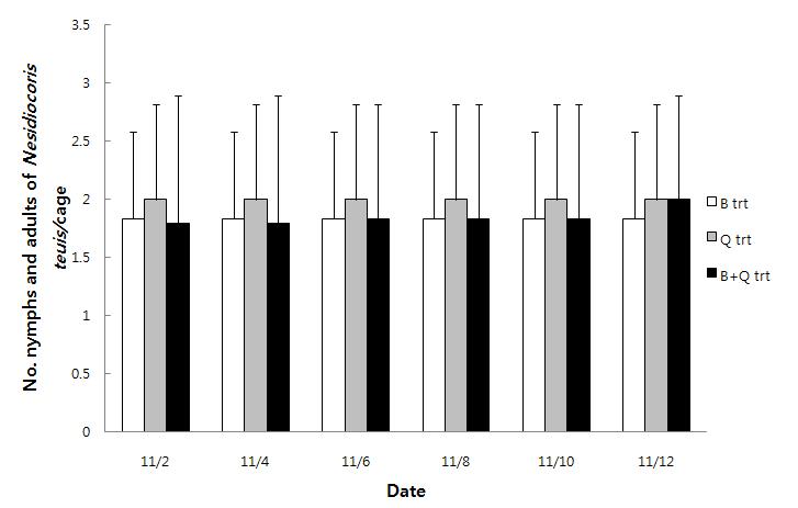 Spontaneous generation of Cyrtopeltis tenuis in glass greenhouse.