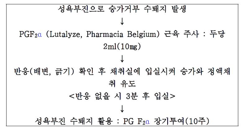 성욕부진 종모돈의 호르몬 처리방법