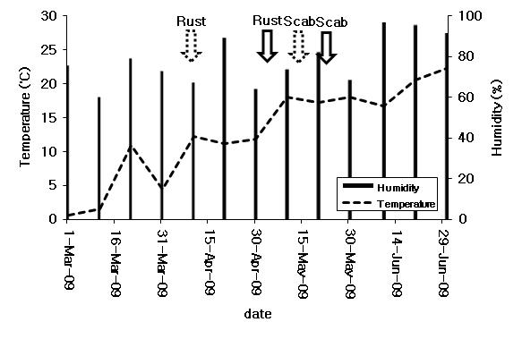 유기배농장(아산시, 2009년)에서 온도(℃)와 습도(%)에 따른배검은별무늬병원균과 배붉은별무늬병원균의 포자 비산 정도.