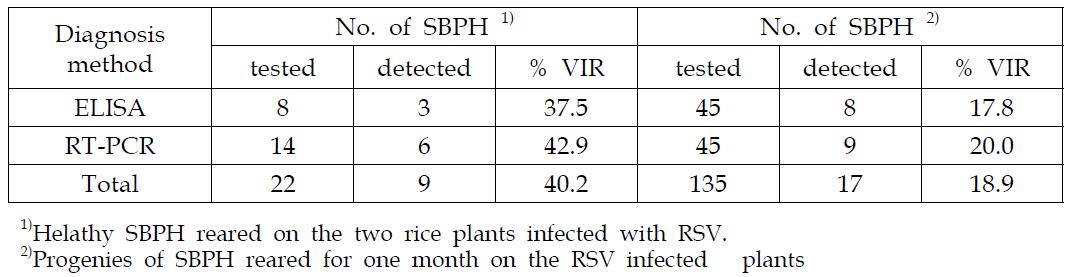 Viruliferous infection rate of RSV for SBPH reared on infected plant andtheir next generation progenies