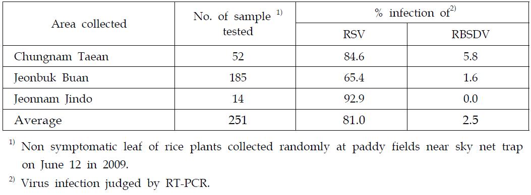 Virus infection of RSV and RBSDV on rice plants on June 12 after massmigration of SBPH in 2009