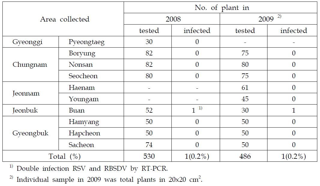 Virus infection of RSV and RBSDV on barley