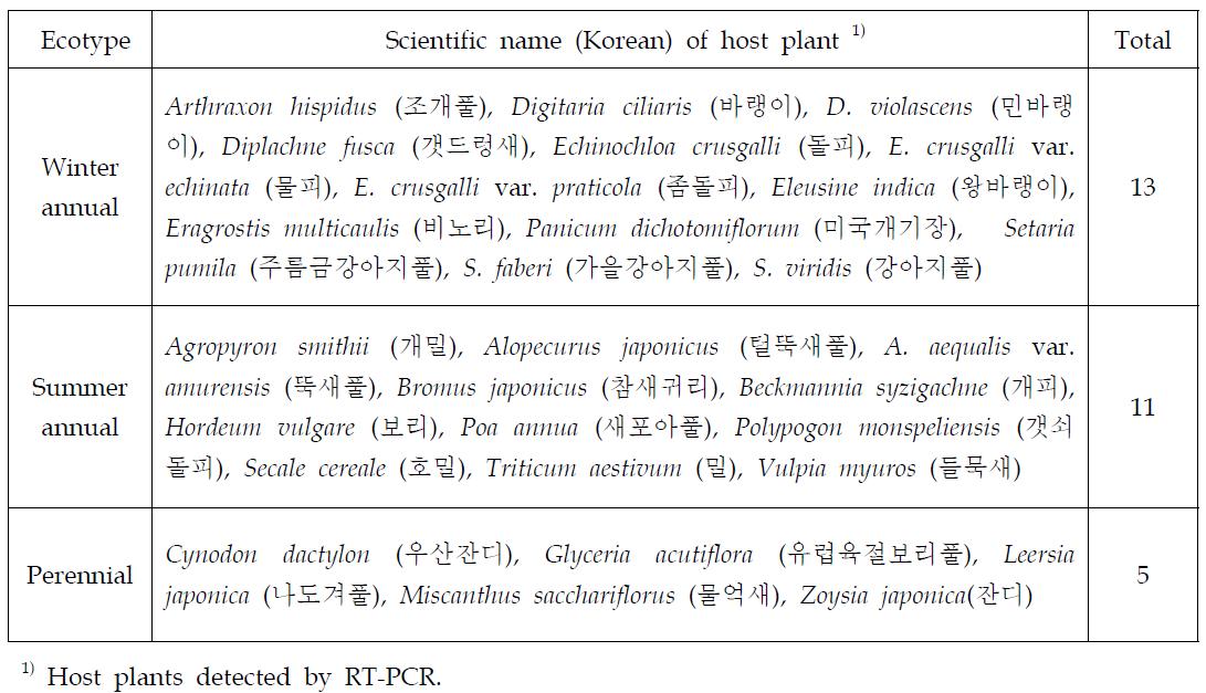 Host plant species of RSV recorded newly from natural condition