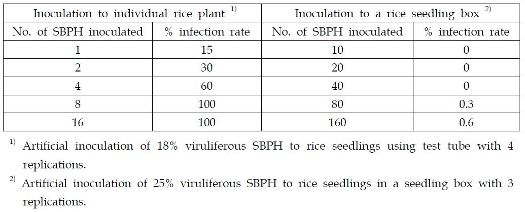 Disease establishment of RSV on rice to individual plant and seedlingbed by artificial inoculation of viruliferous SBPH