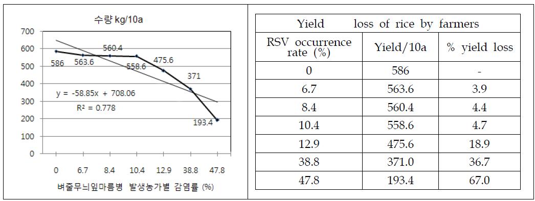 Yield loss of rice plant on natural farmers fields infested naturally with RSV by the infection hill rate at Taean area. Rice cultivar investigated was Ungwang.