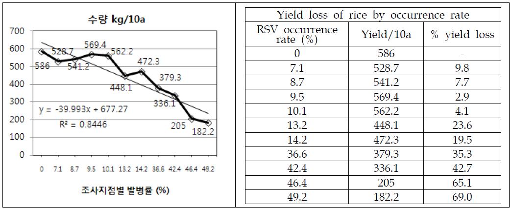 Yield loss of rice plant on natural fields infested naturally with RSV bythe infection hill rate at Taean area. Rice cultivar investigated was Ungwang.