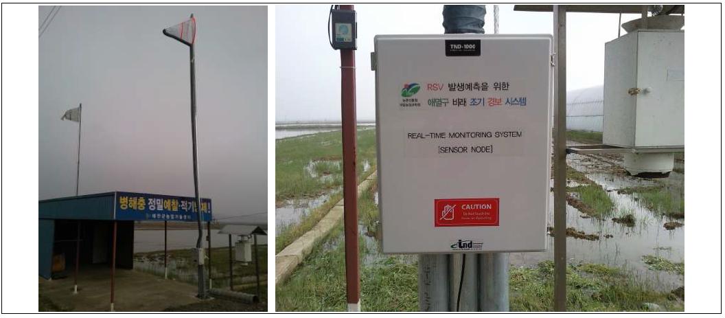 Traditional sky net trap (Far left in left photo) and automatic calculation sky net trap (Right in left photo). Automatic transmitter of trapped SBPH (Right).