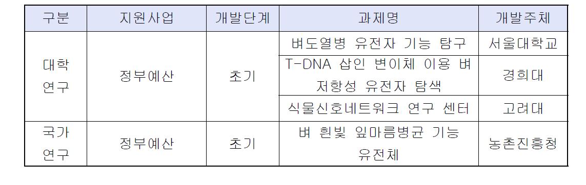 국내 연구 개발 현황