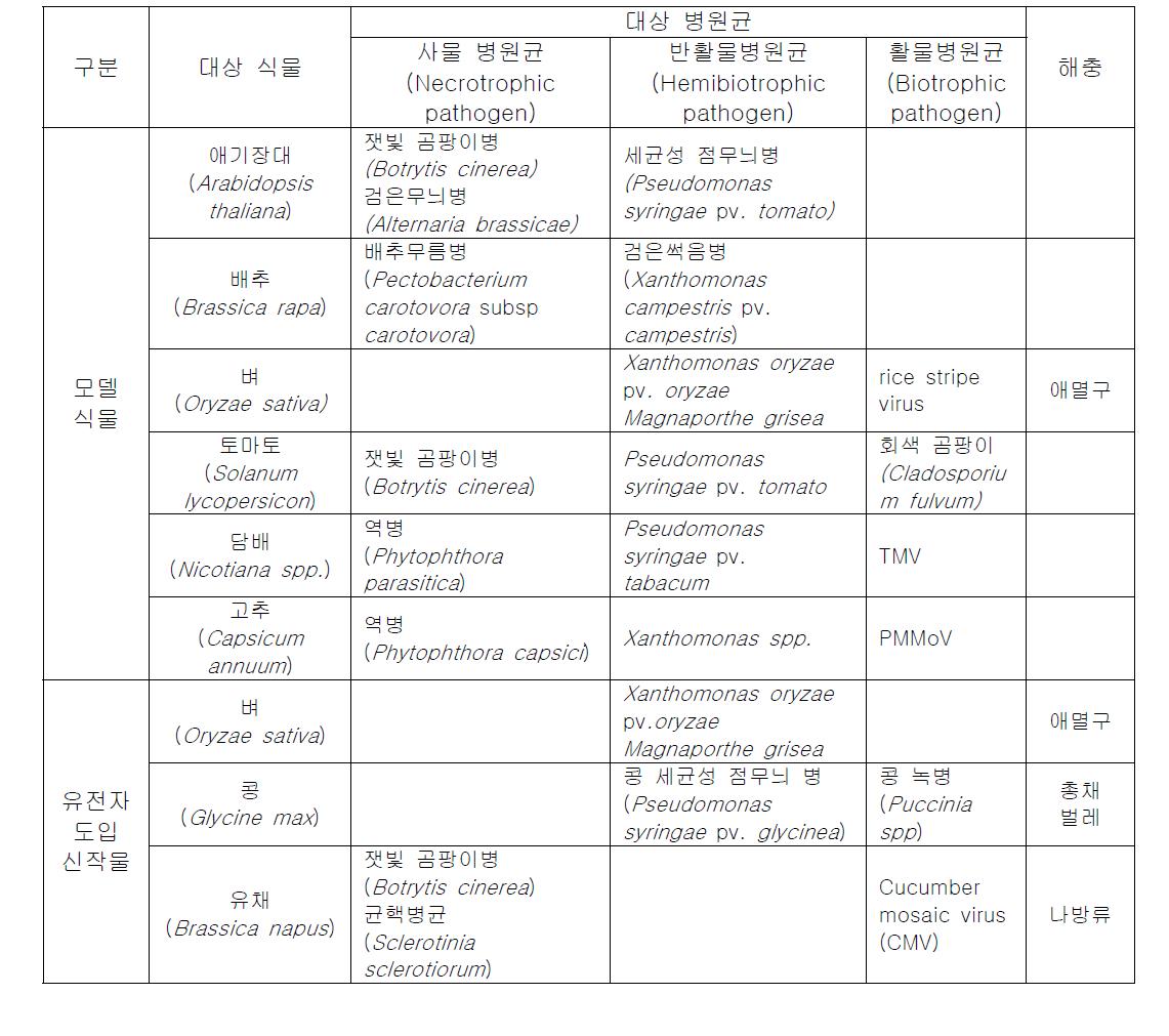 연구 대상 식물-병원균 목록
