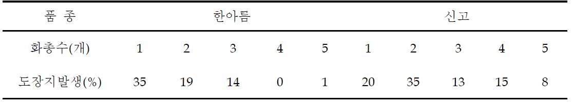 화총수별 착과지 도장지 발생비율 ( 2009. 6. 24)