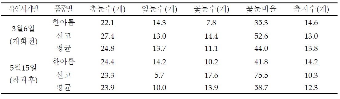 도장지 유인 시기별 화아 발생 과 측지수(2년차) (조사일 : 2009. 5. 13)