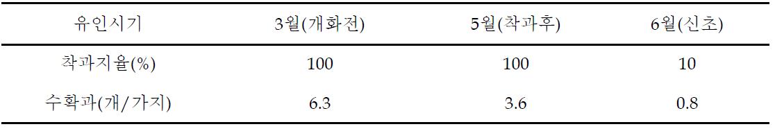 도장지 유인시기별 수확 과실수(신고)