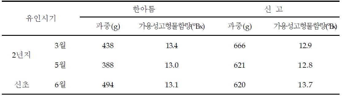 전년도 도장지 유인시기별 과중과 당도 비교 (조사일 : 2009. 10. 1)