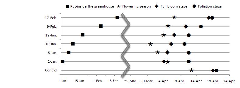 Flowering season stage, full bloom stage, and foliation stage according to treatment.