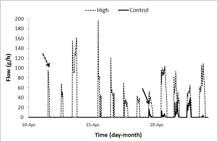 Sap flow condition according to high temperature treatment.