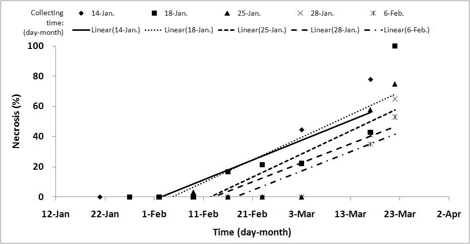 Necrosis of foliar bud-branch according to collecting time with the passing of time at -15℃ using TTC test at once a week.