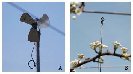 Wind machine and sprinkler in Naju