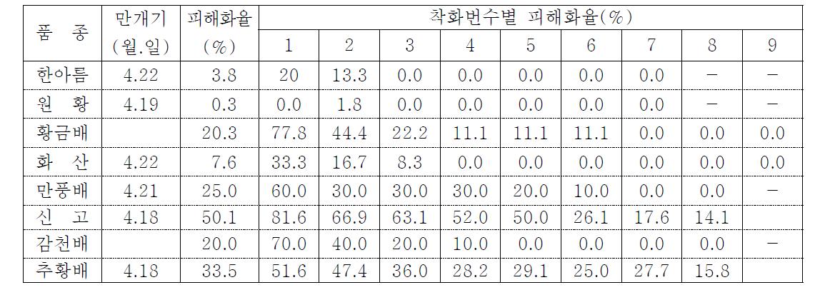 2010년 배 품종별 저온 피해 현황 (지역 : 나주시 금천면, 4.18)