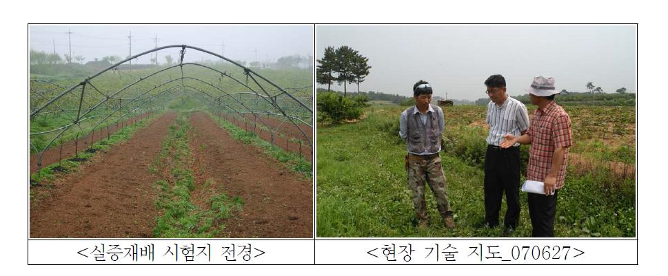 부안 한아름 실증재배 포장 조성 및 현장 기술지도