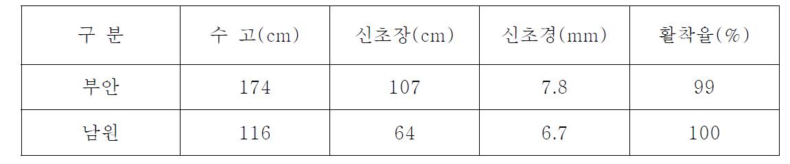 신초생육 상황 (조사일 : 2008. 7 22)