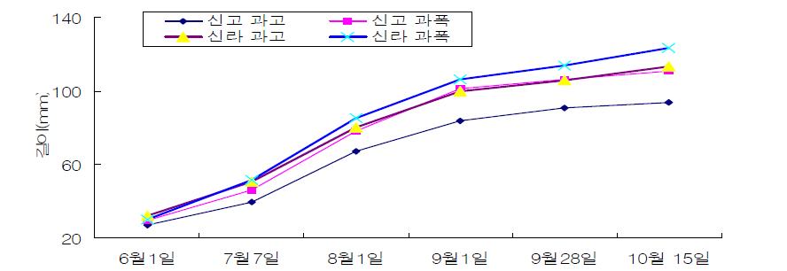 생육기 “신라”배의 과고와 과장의 변화