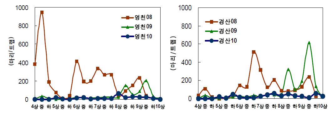복숭아굴나방 페로몬 유살 상황(2008～2010)