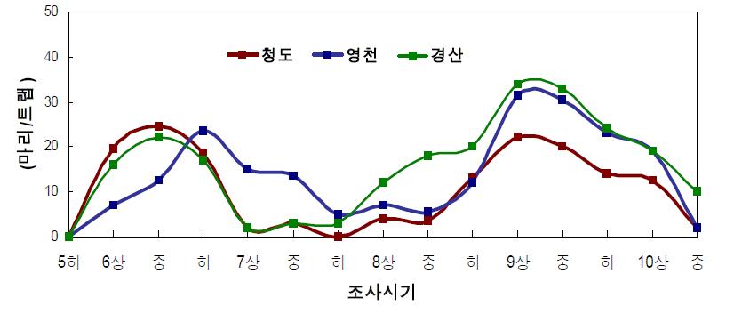 복숭아유리나방 페로몬 유살 상황(2010)