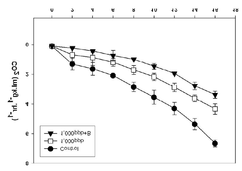 에틸렌 억제제+MAP(B) 처리에 저장 중 복숭아 ‘미백’의 따른 호흡률 변화