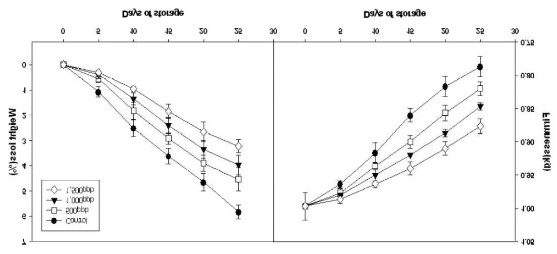 1-MCP 처리에 따른 저장 중 복숭아 ‘미백’의 생체중 감량 및 경도변화
