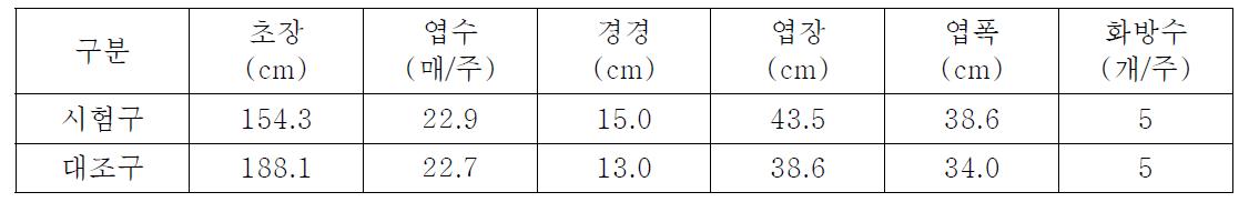 토마토 생육조사