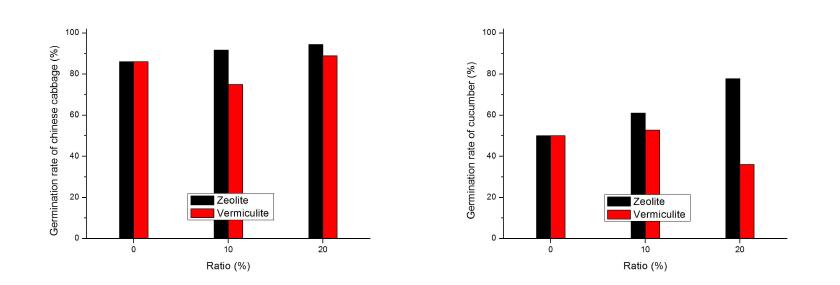 사용후 필터소재의 배합 비율 증가에 따른 배추 및 오이의 발아율 변화