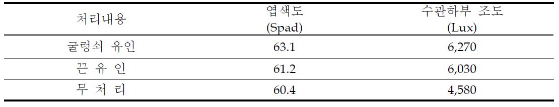 엽색도 및 수관하부 조도