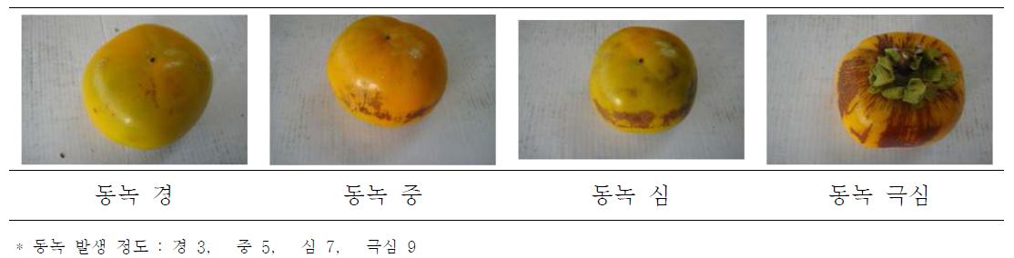 화분현탁액 사포에 의한 과실 동녹발생 정도