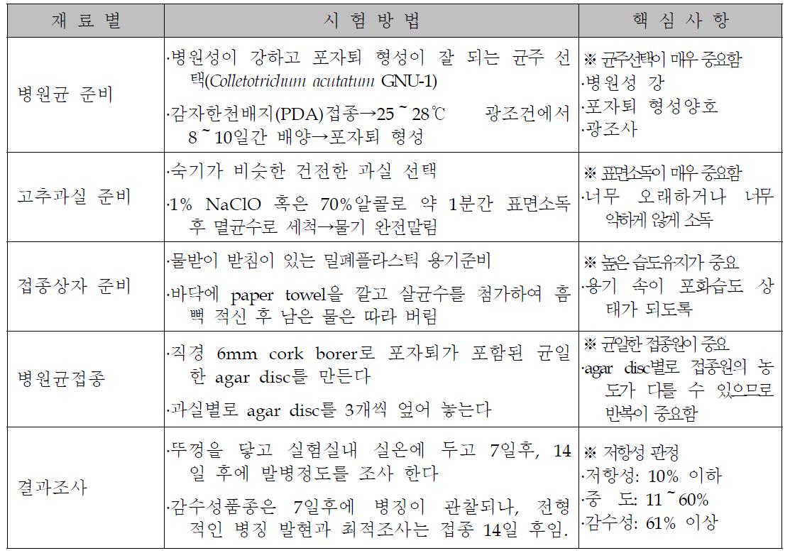 고추탄저병 저항성 실내 표준 생물검정 방법