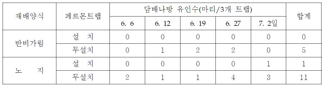 반비가림 및 노지의 페르몬 처리에 의한 담배나방 유인비교