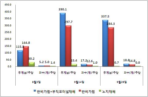 반비가림과 부직포 터널재배의 유기농 고추 수량 미치는 영향(품종: 배로따)