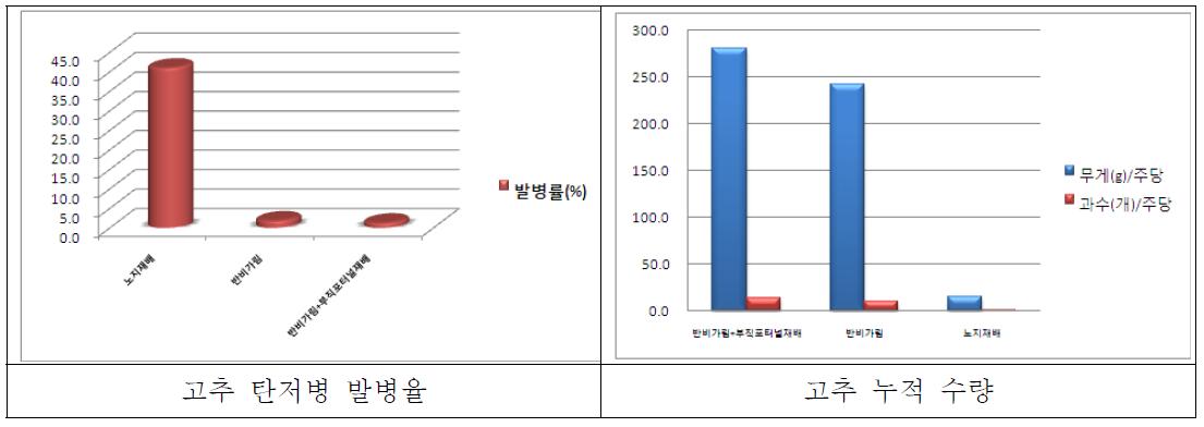 재배방법에 탄저병 발병율 및 누적 수량(품종: 배로따)