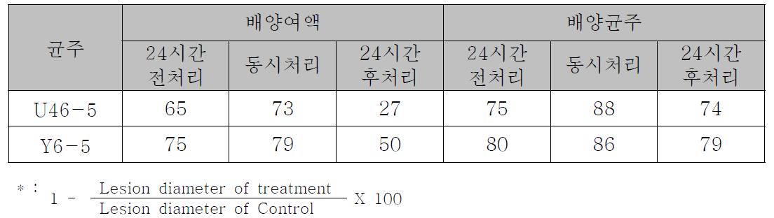 선발될 Y6-5와 U46-5의 고추탄저병 억제효과 검정