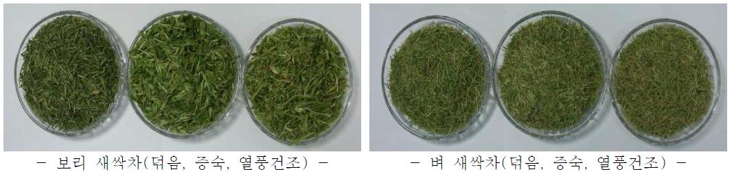 유기농 곡류 새싹차