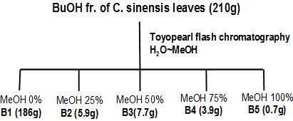 Column fractionation of BuOH extract from C. sinensis leaves.