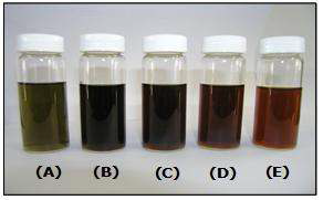 Photograph of ethanol extract of Cedrela sinensis leaves (A) EtOH 95% (B) EtOH 80% (C) EtOH 65% (D) EtOH 50% (E) EtOH 95%