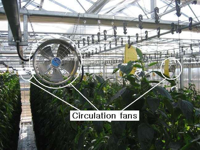온실설치 순환팬