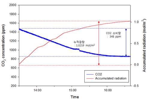 식물개체 이산화탄소 소비량 측정 2차 (13:30 ~ 16:40)