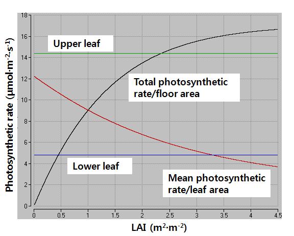 LAI에 따른 군락의 총 광합성 속도와 단위면적 (CO2 800 ppm 조건)