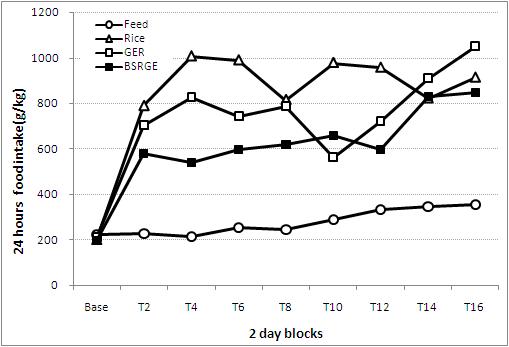 Twenty four hour food intake in C57BL/6 mice before and after feeding with rice